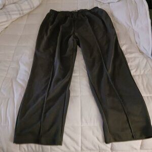 Woman Within Dress Slacks size 22w